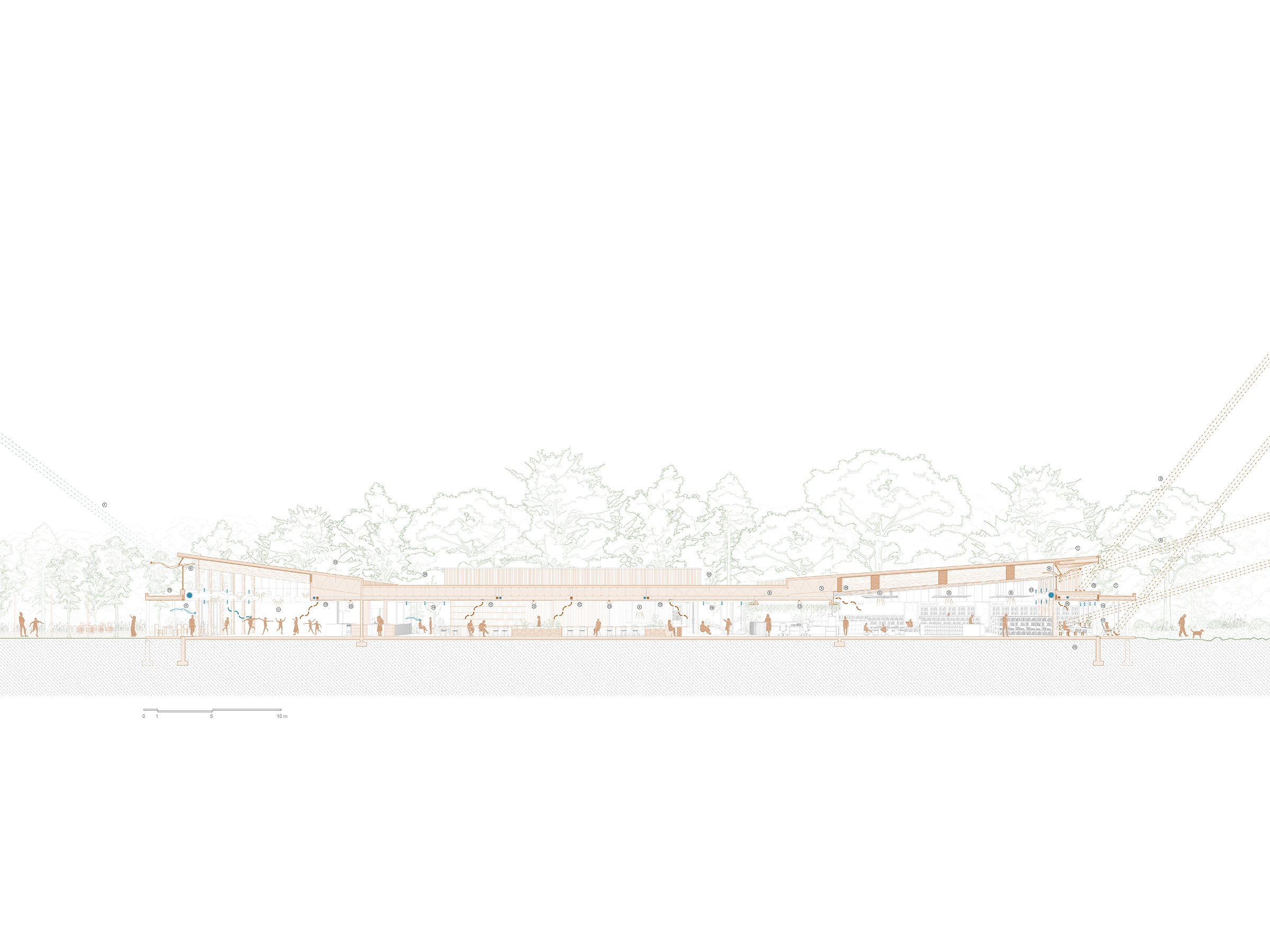 architecture-concours-bibliothèque-institutionnel-ville-forêt
