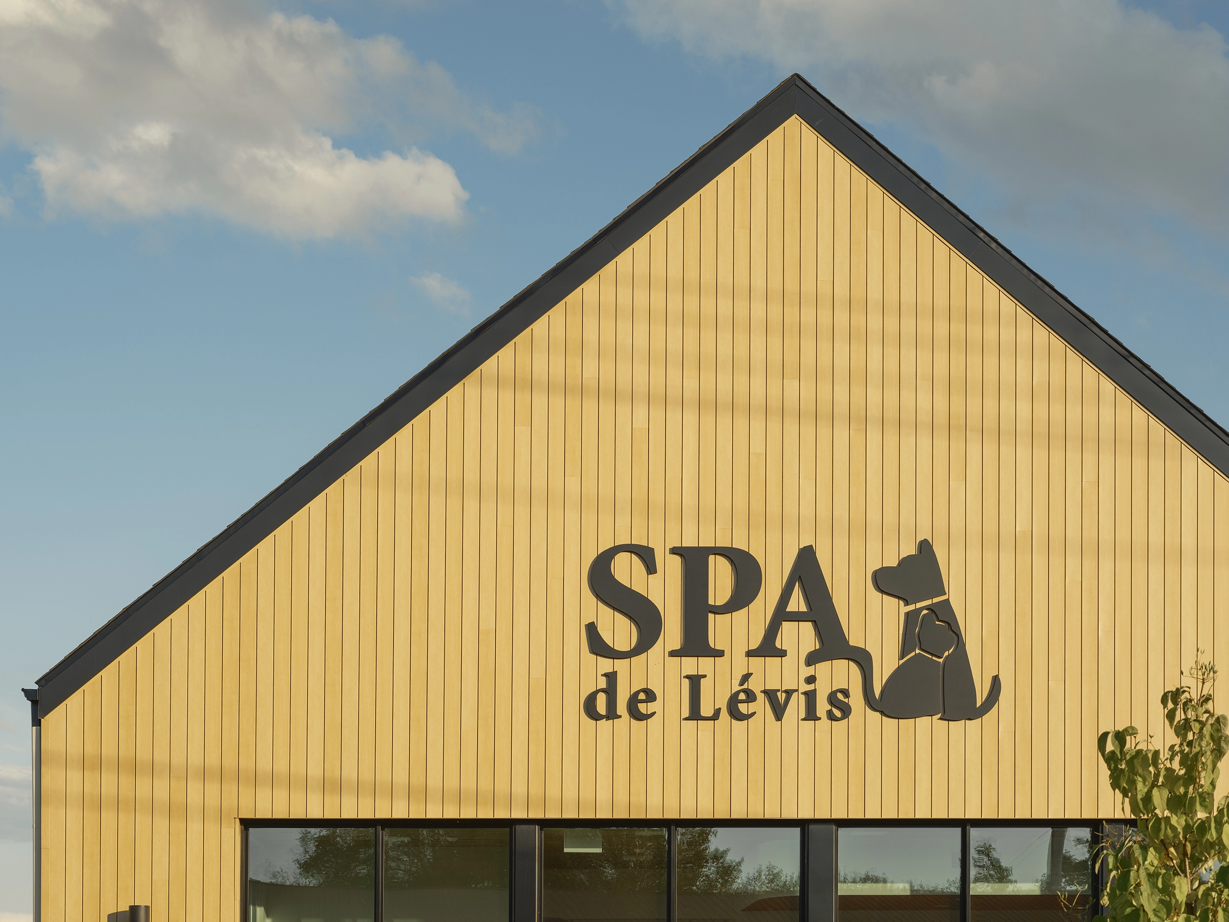 architecture-intérieur-animaux-institutionnel