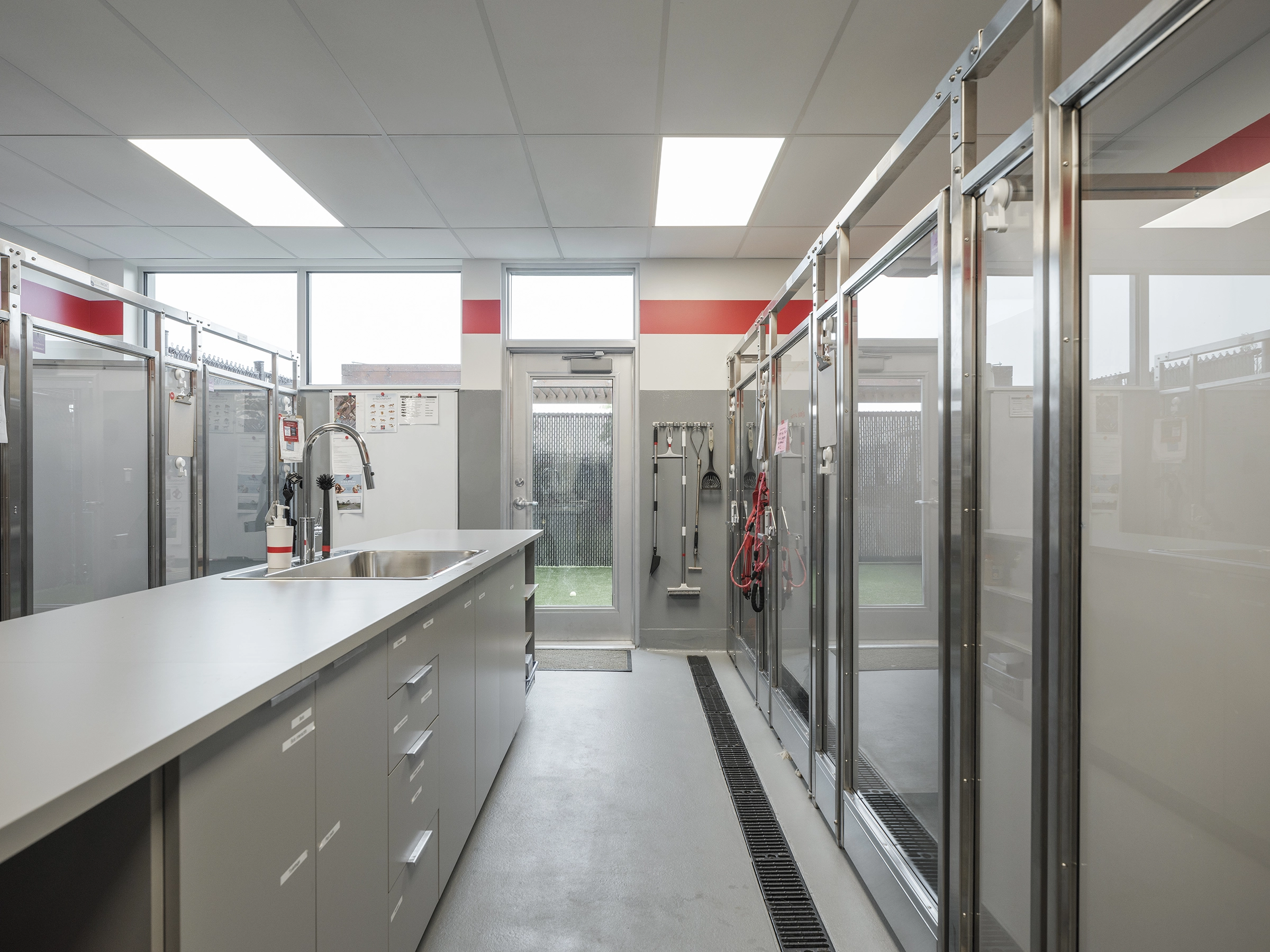 architecture-intérieur-animaux-institutionnel