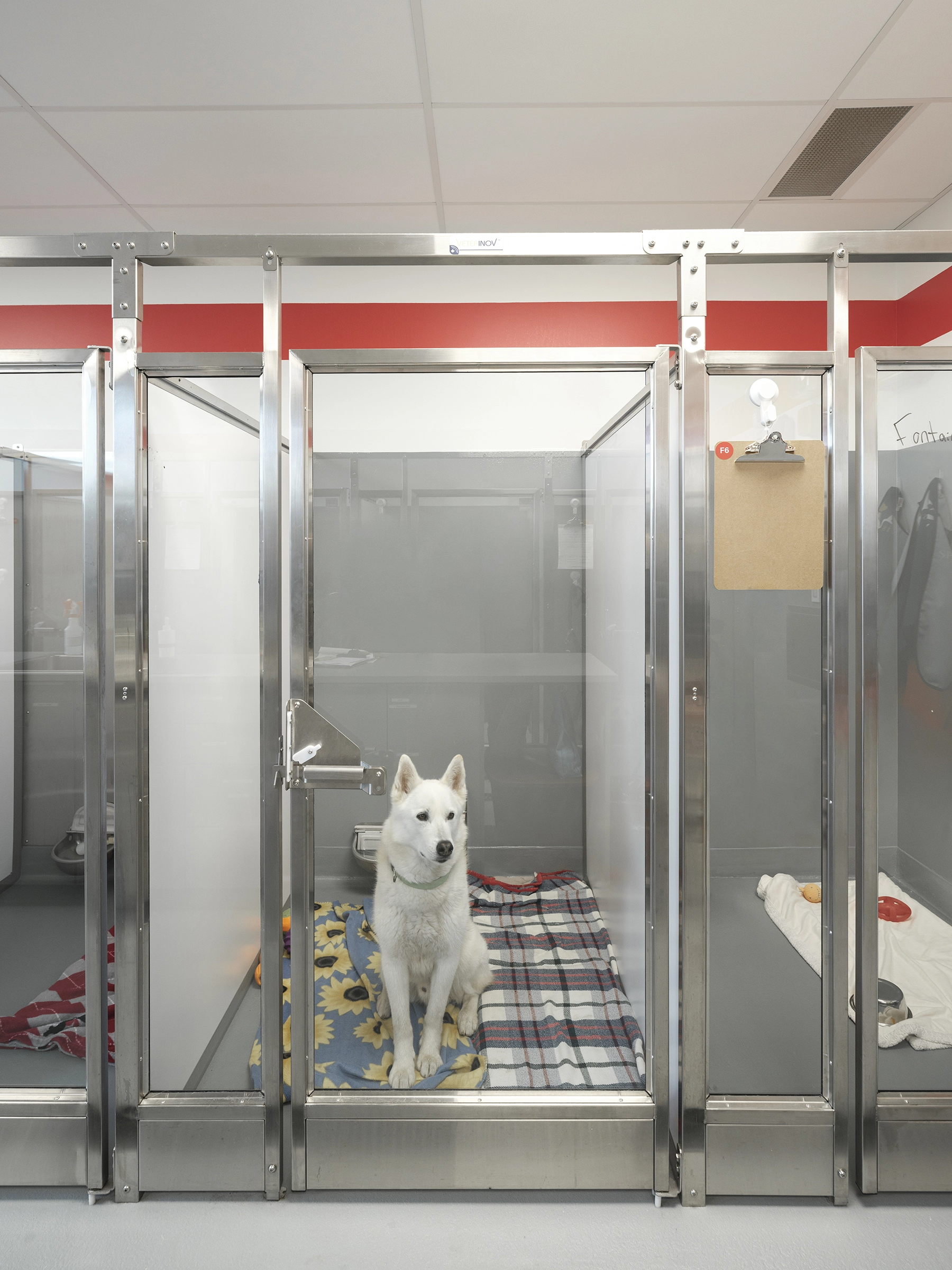 architecture-intérieur-animaux-institutionnel