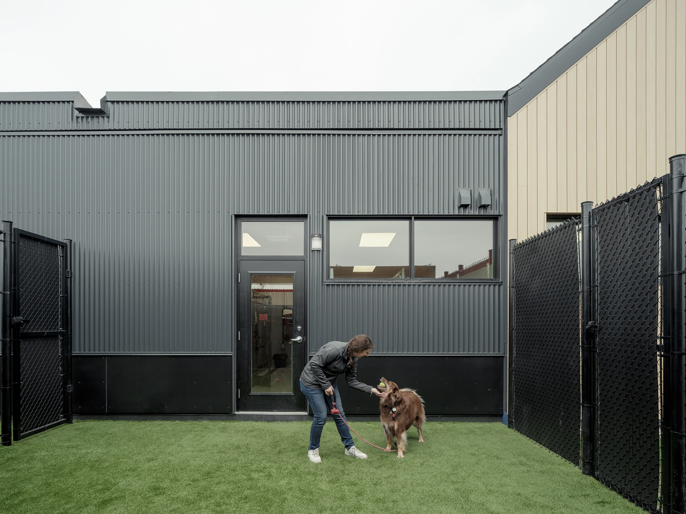 architecture-intérieur-animaux-institutionnel