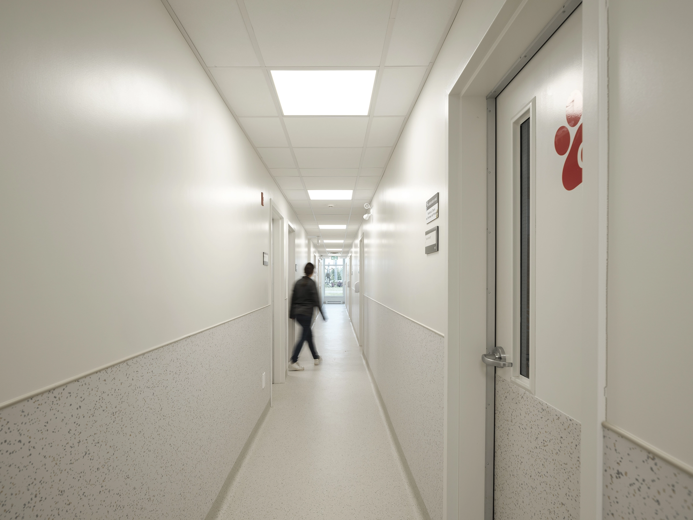 architecture-intérieur-animaux-institutionnel