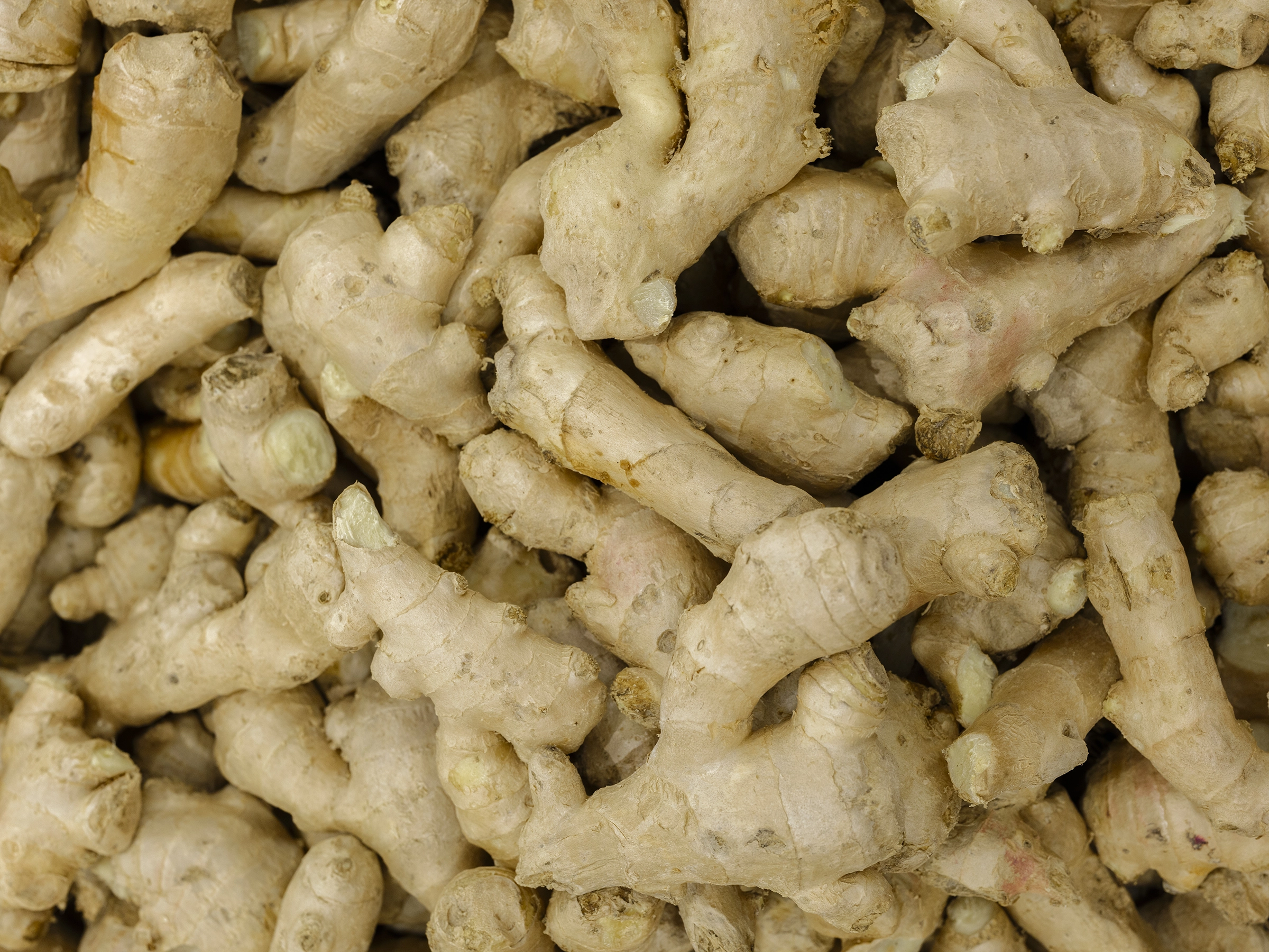 architecture-design intérieur-image de marque-épicerie asiatique