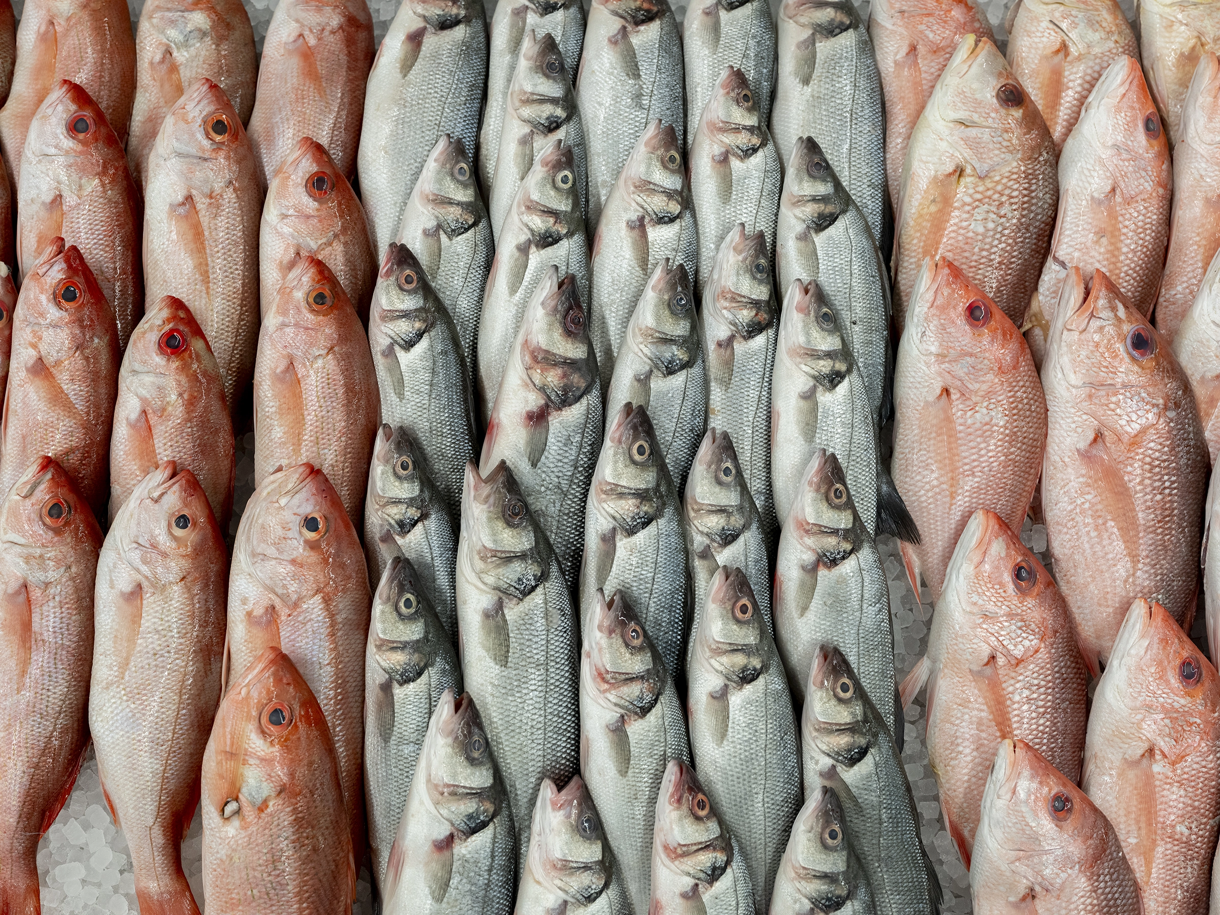 architecture-design intérieur-image de marque-épicerie asiatique