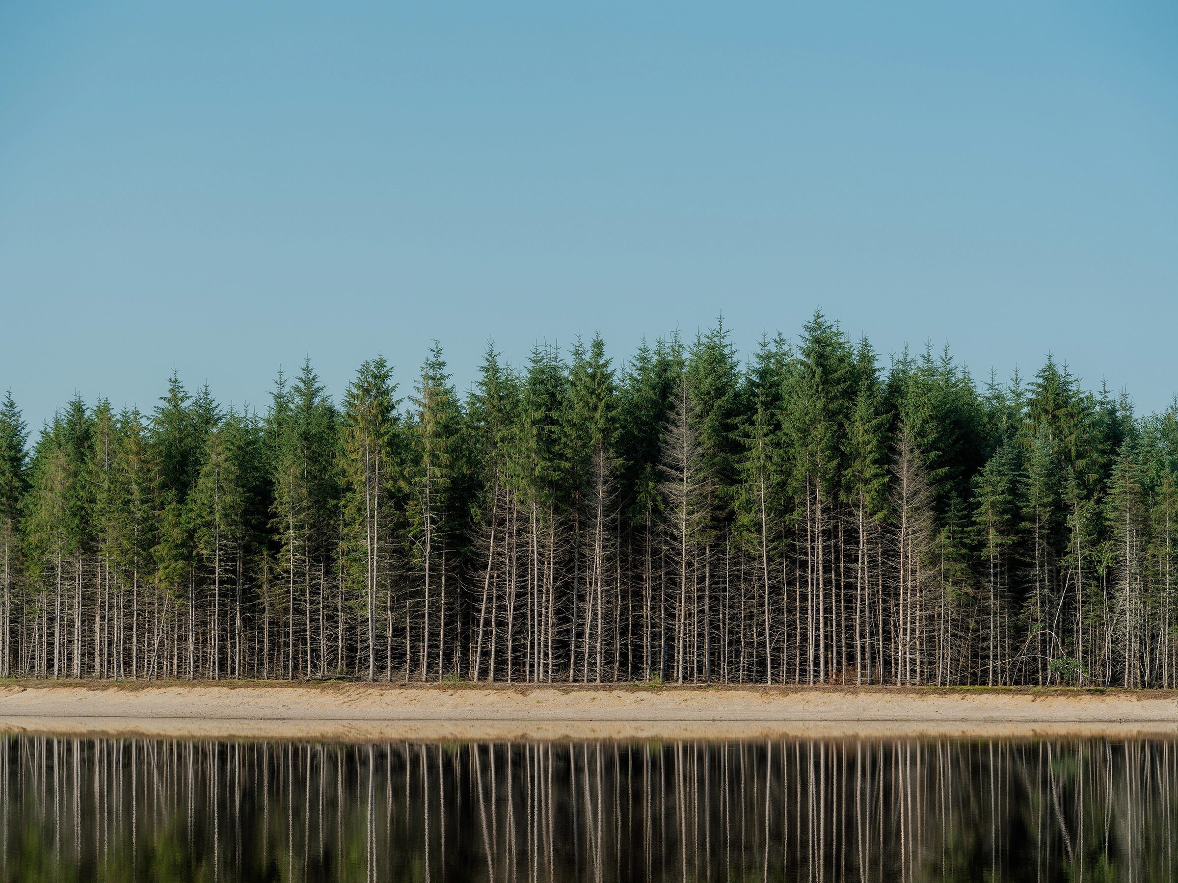 hébergement-chalet-nature-bois-lac-forêt
