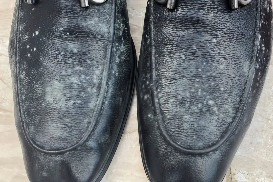 Moldy leather shoes from being exposed to high relative humidity