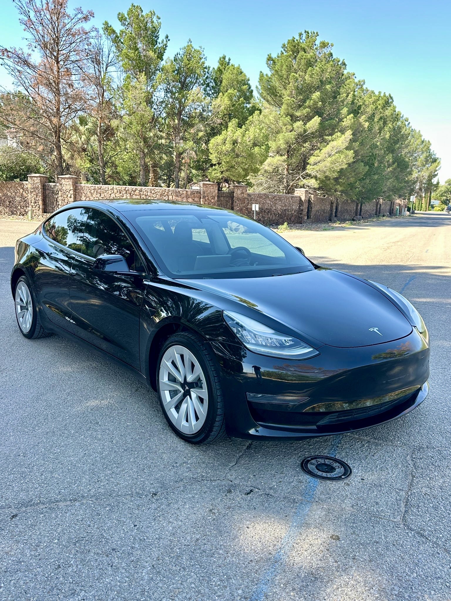 2021 Tesla Model 3 Standard Range Plus Sedan 4D