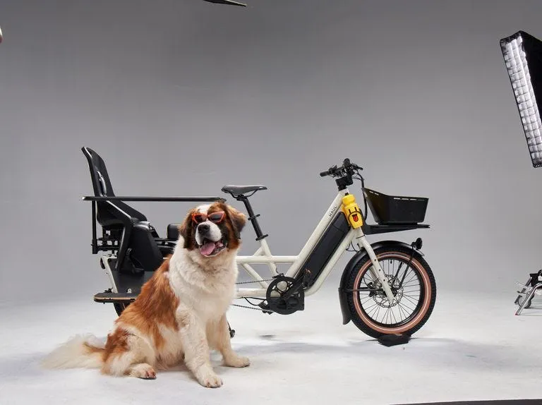 First Look: Specialized's New Globe Haul LT | Best E-Bikes 2023