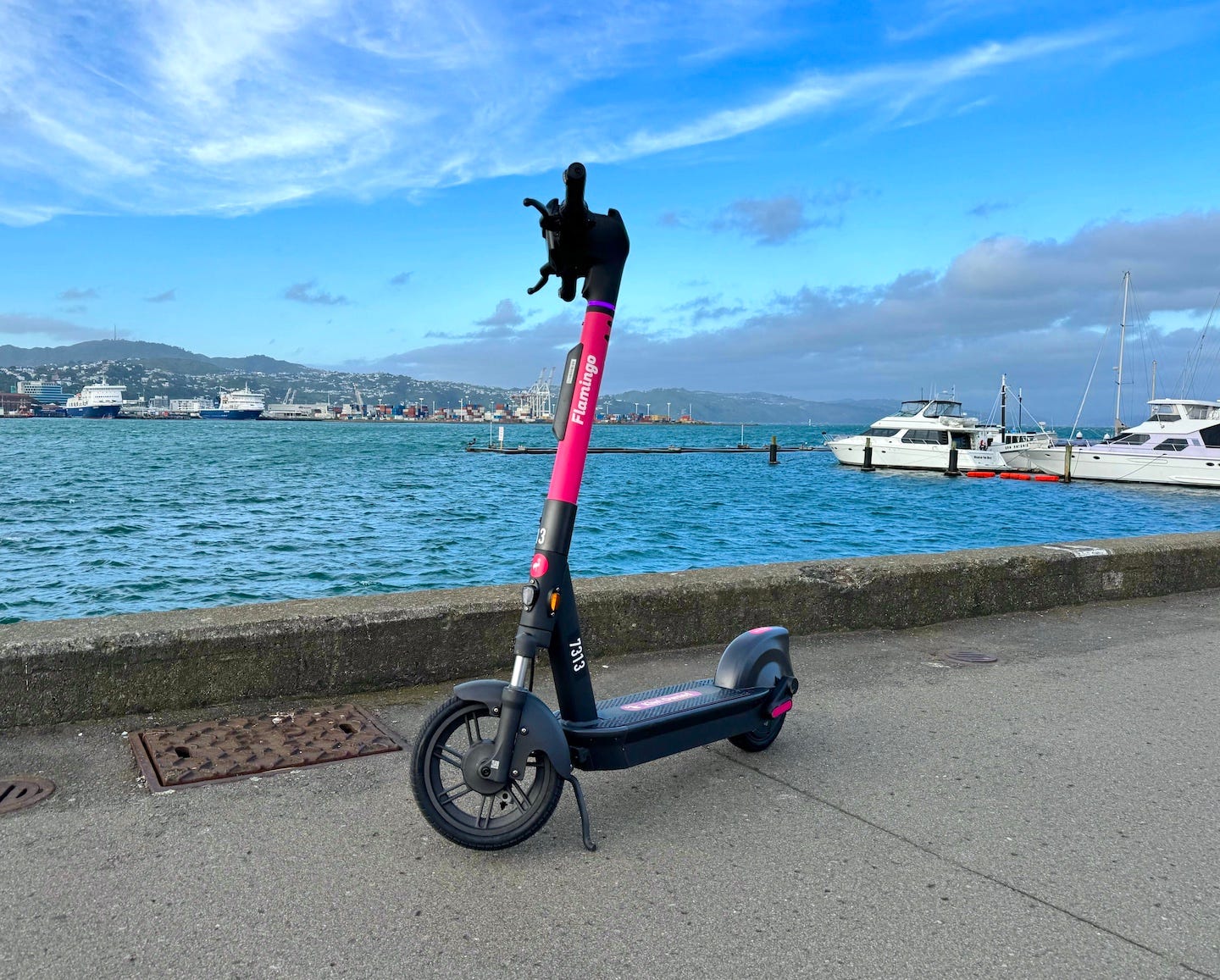 Flamingo Launches Latest Model Scooter in Wellington | Flamingo