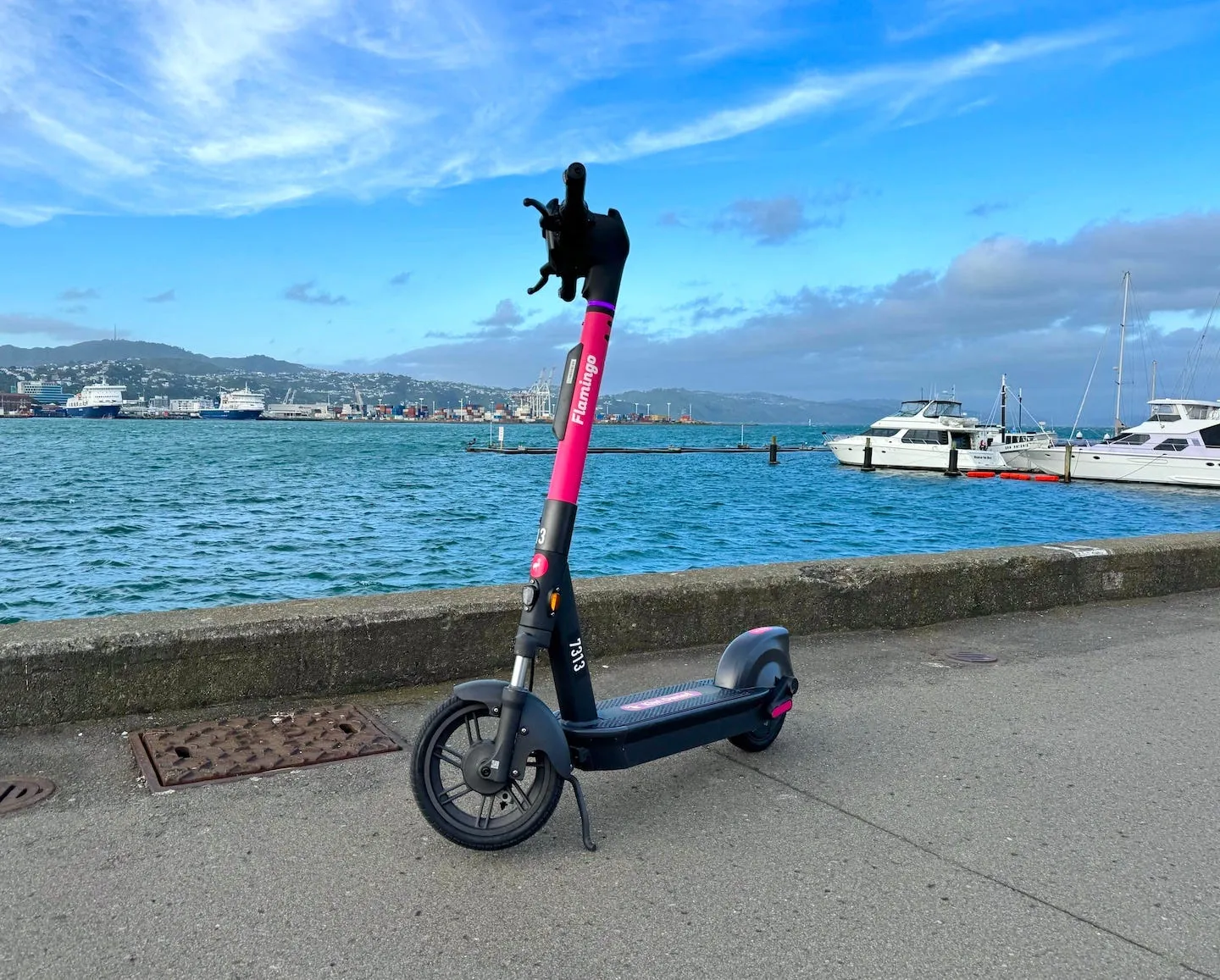 Flamingo Launches Latest Model Scooter in Wellington | Flamingo