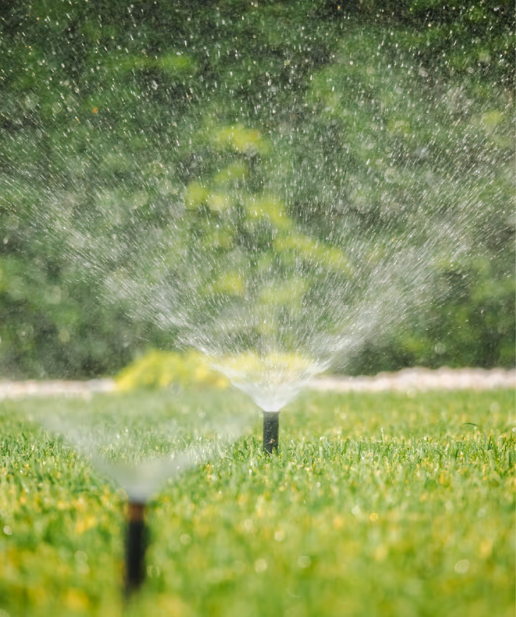 Automatic sprinklers spraying lawn