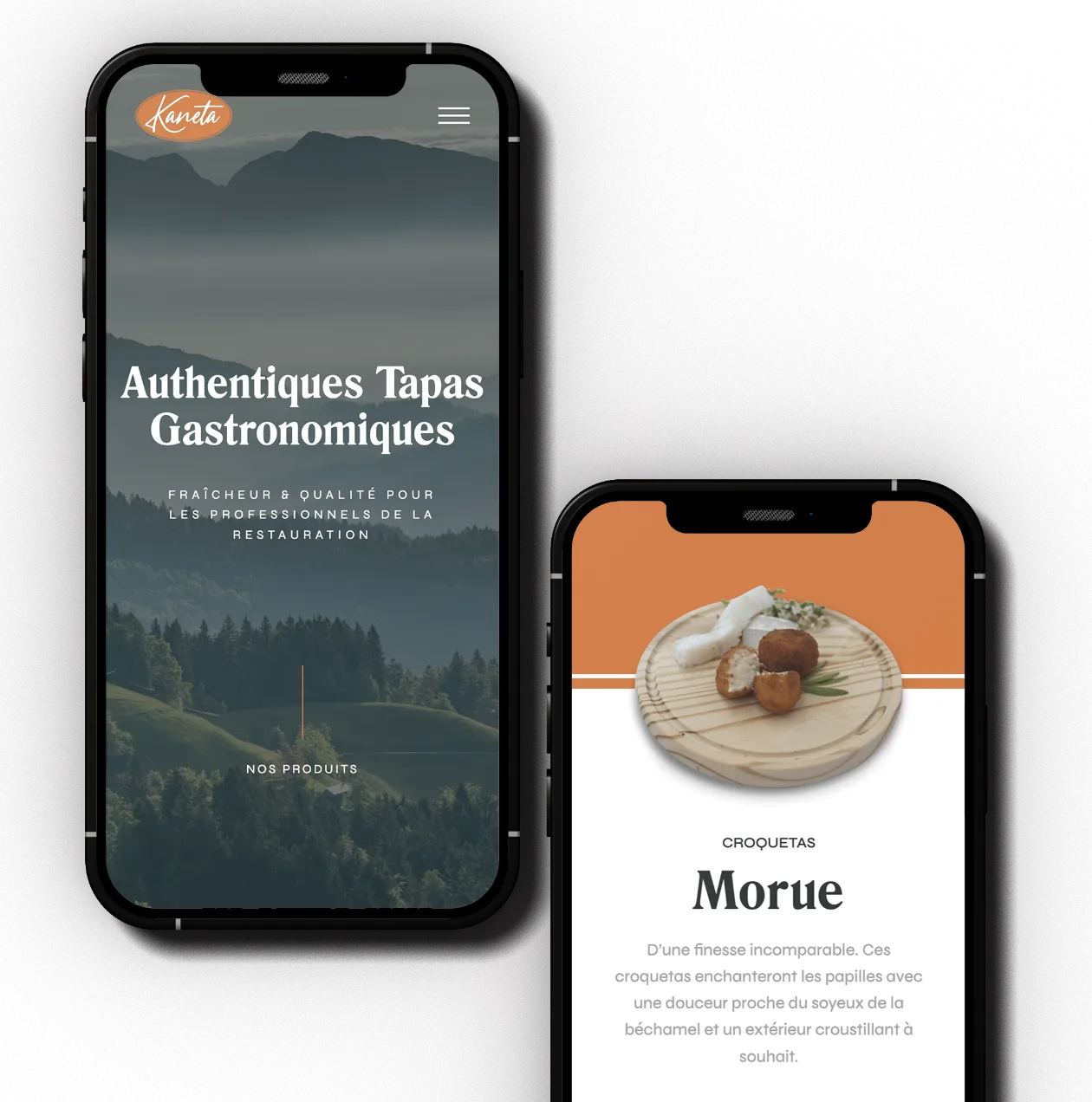 projet kaneta  webflow no-code