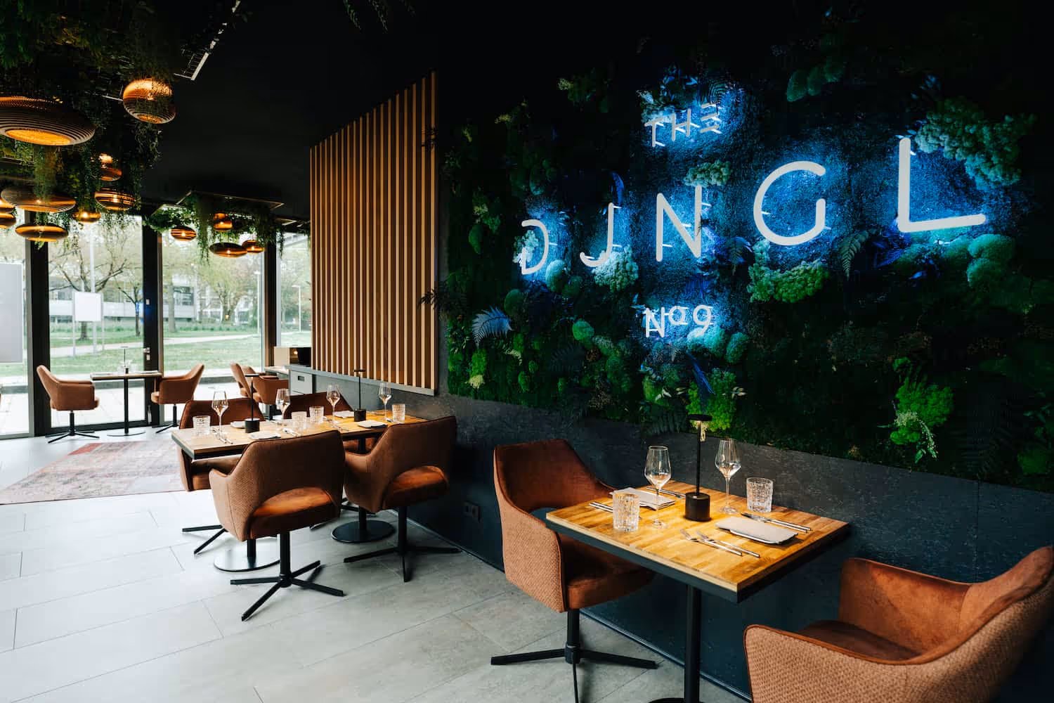 The DJNGL Heidelberg Ambiente
