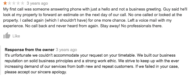 Capture d'écran Google Review Template Response