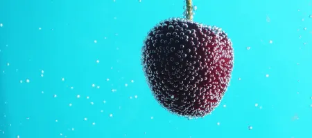 real connection, fruit
