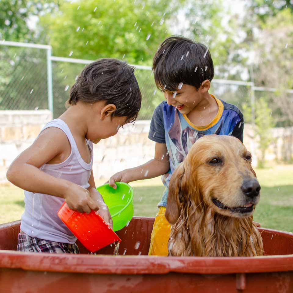 Two young boys play with their golden retriever in a small red pool