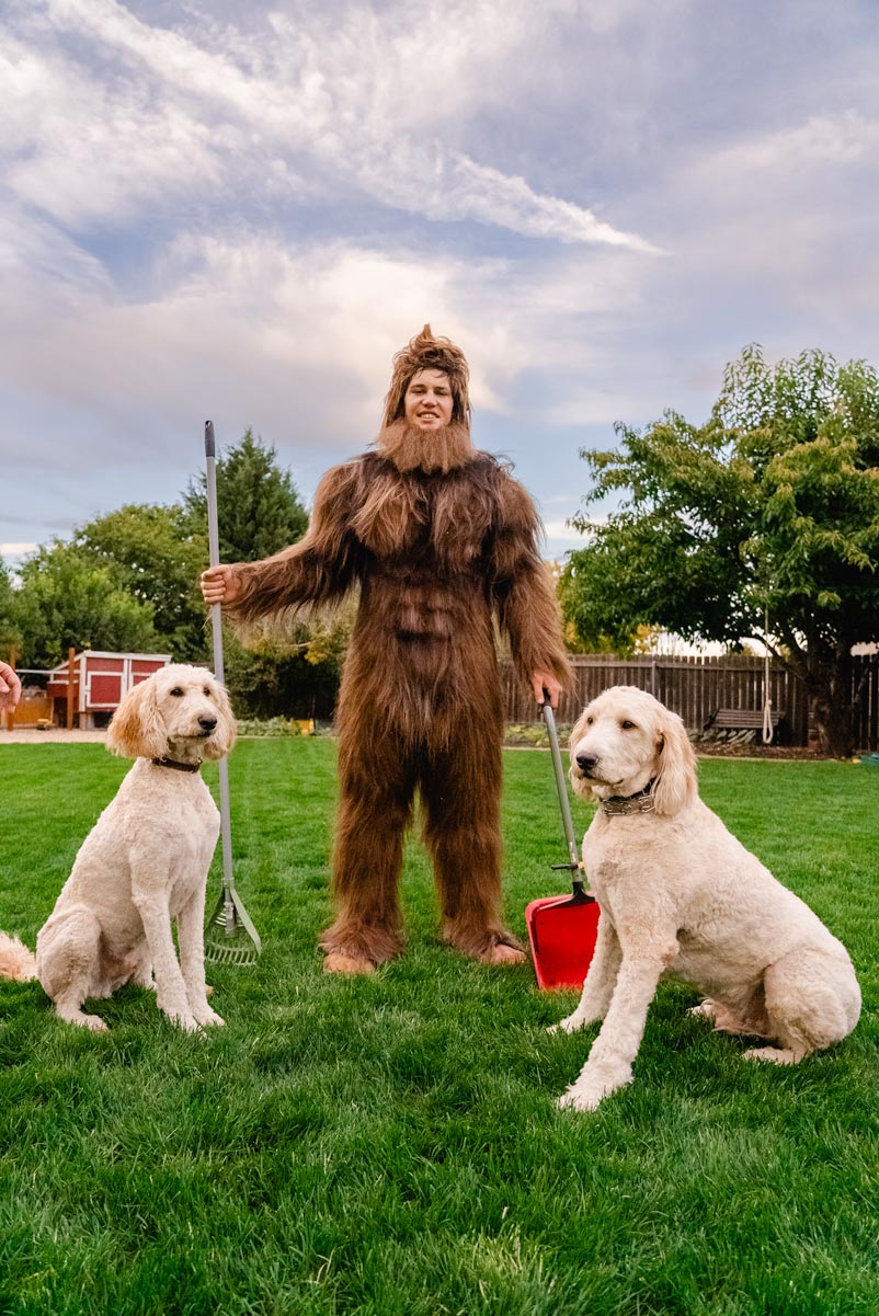 Bigfoot stands smiling in the backyard with two large golden doodles and his poop scooping gear