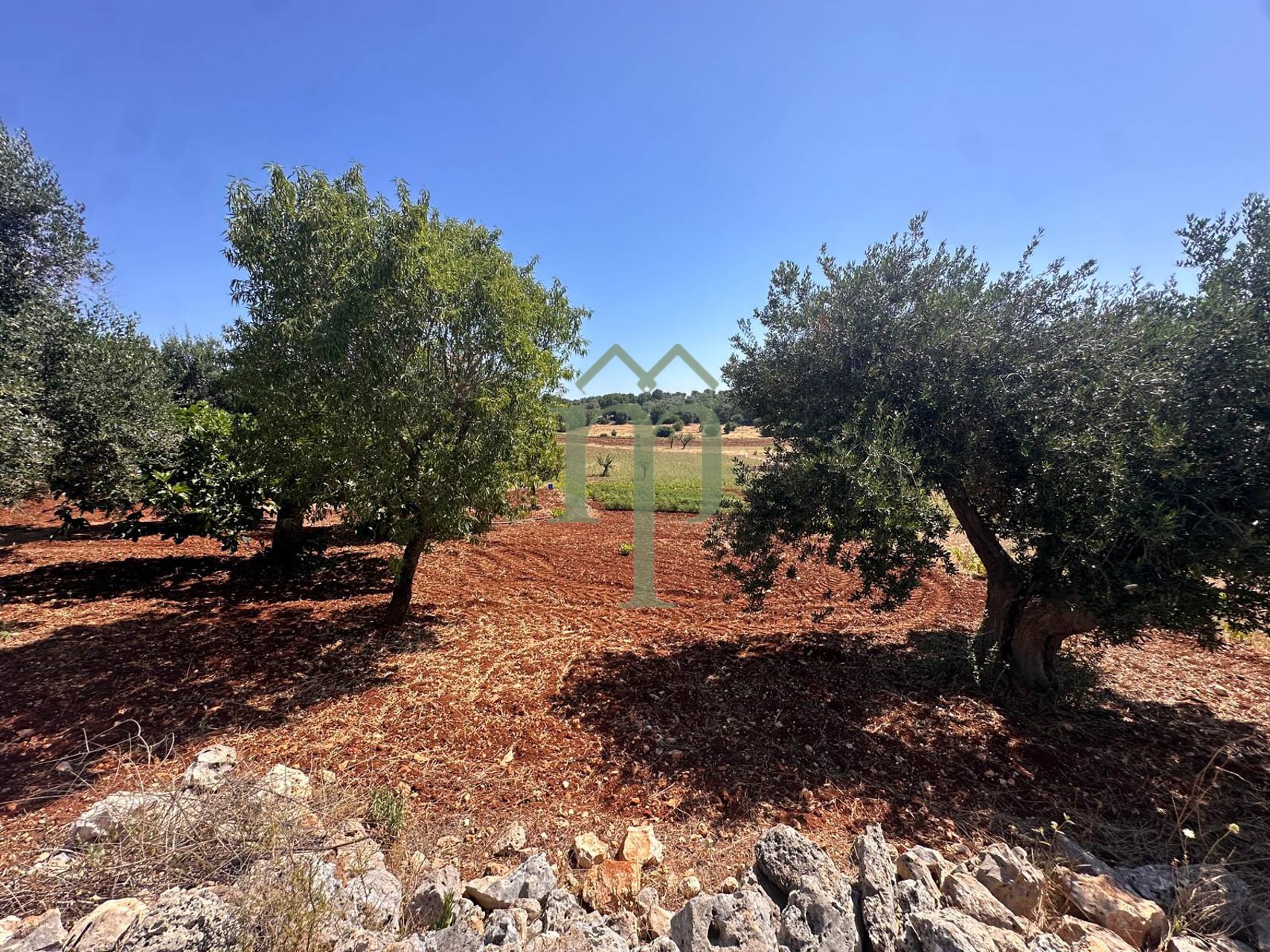 Terreno San Galaro
