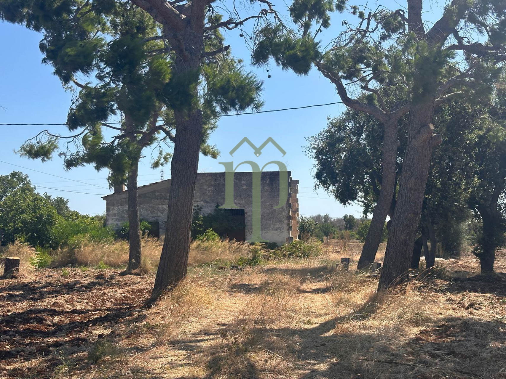 Proprietà Pinea