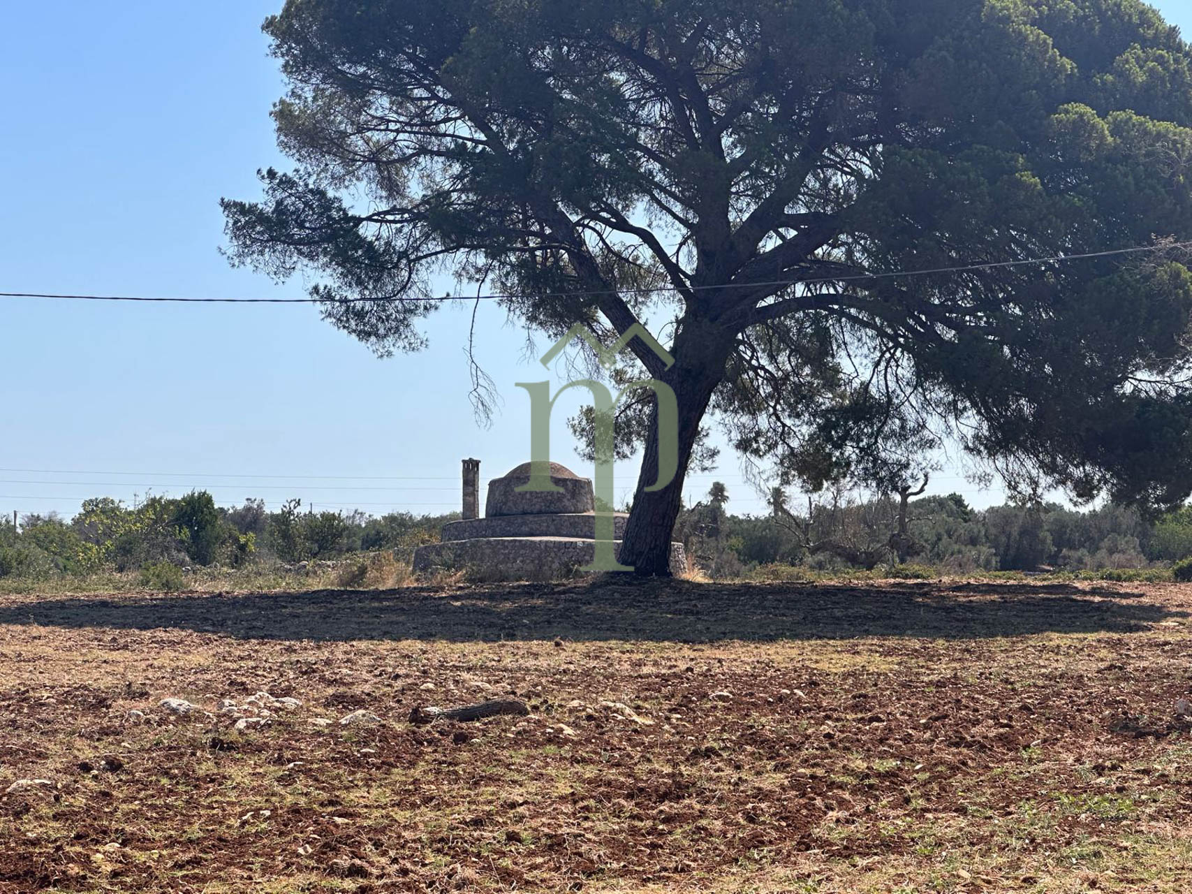 Casolare e Trullo Pinea