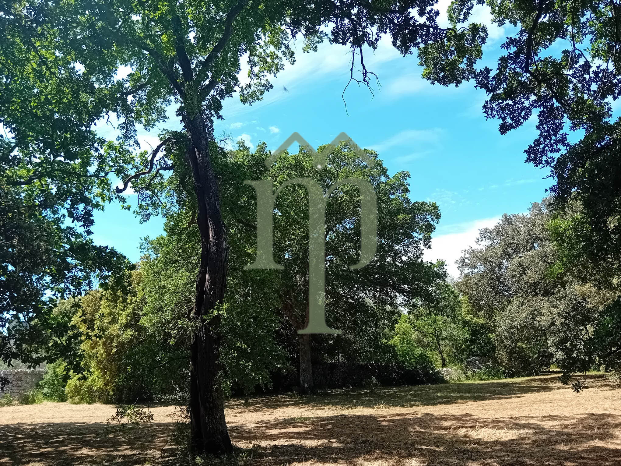 Terreno Rella 14h