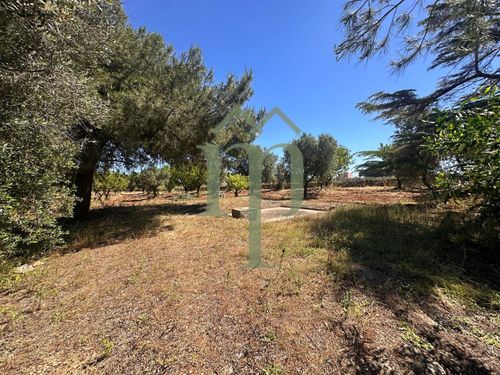 Terreno Prima