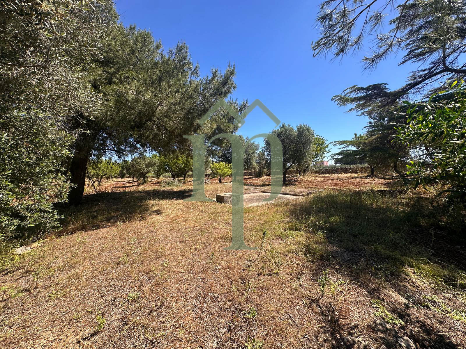 Terreno Prima