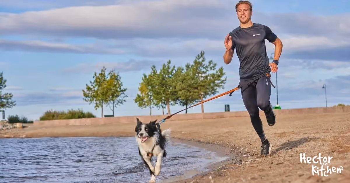 Le canicross, l'alliance parfaite entre sport et complicité canine
