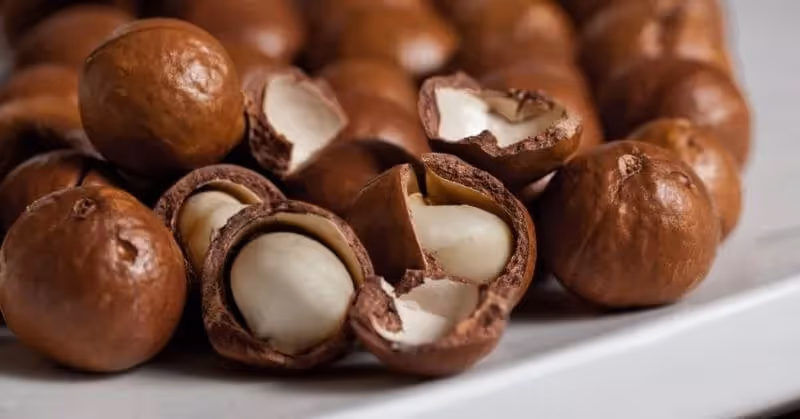 Noix de macadamia toxique pour chien