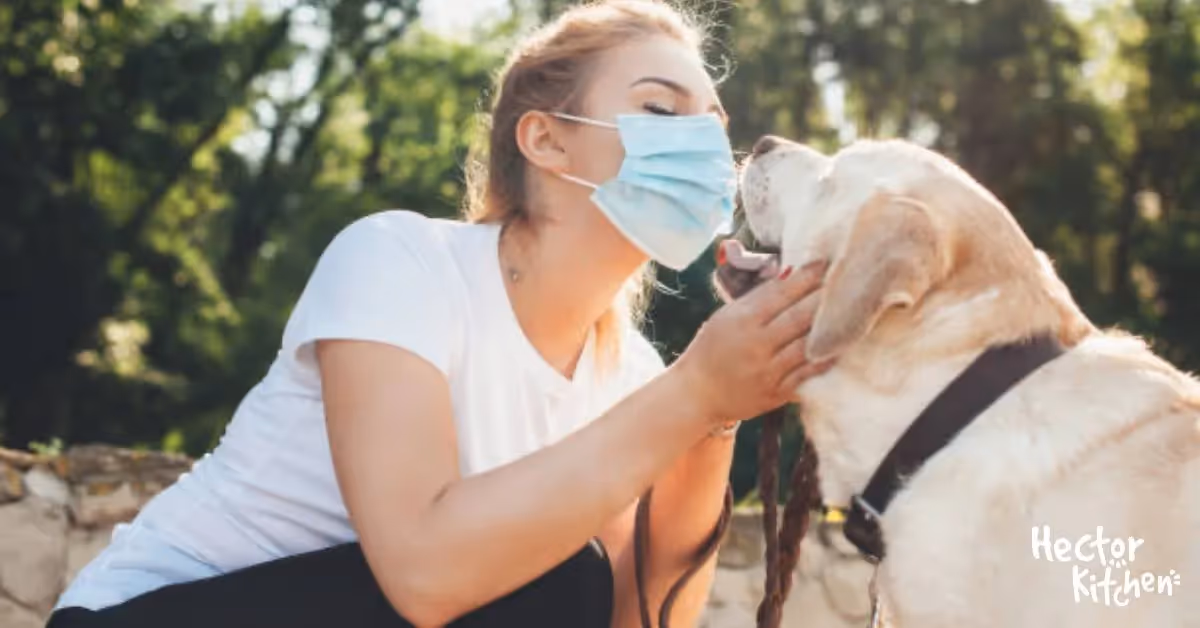 Coronavirus chien : nos conseils pour le protéger