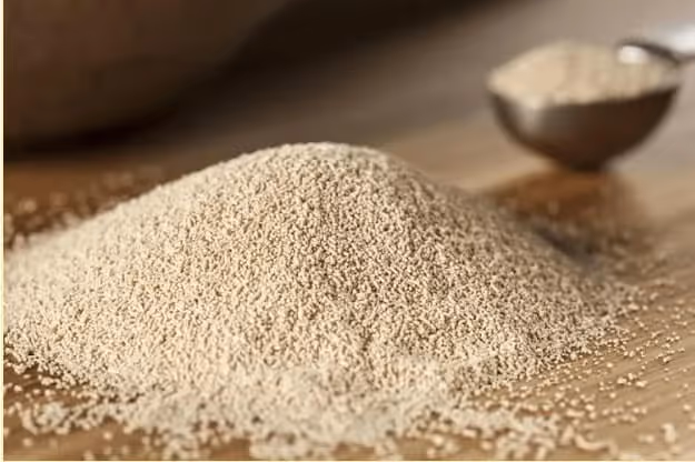 Levure de bière pour chat en poudre