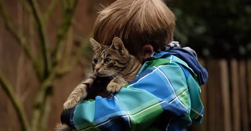 photo de chat avec un bébé