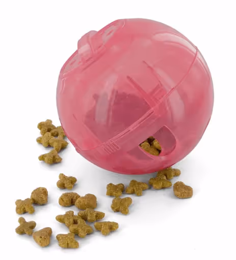 Jouet Balle distributeur croquettes