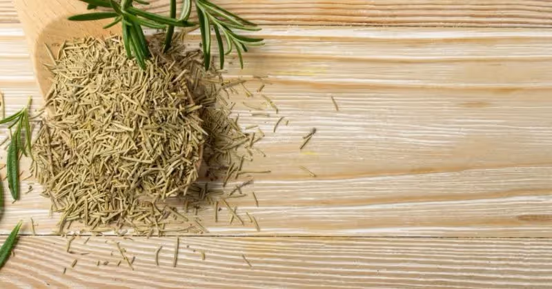 Des herbes comme répulsif pour chat