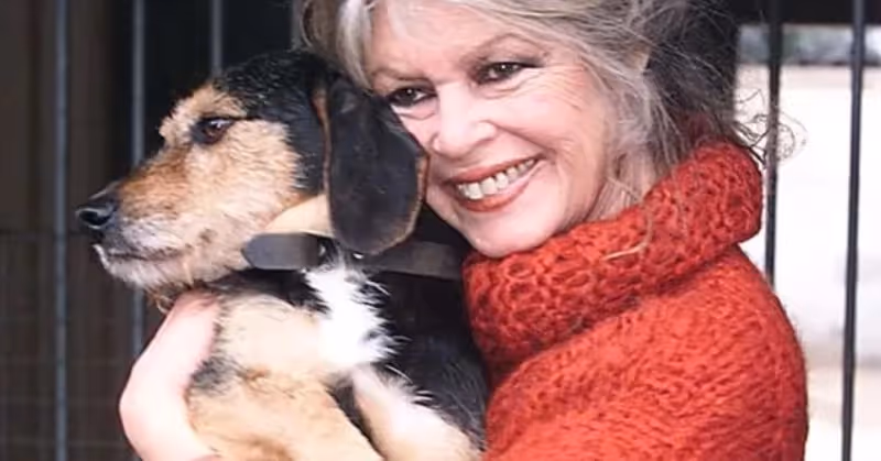 Les actions de la Fondation Brigitte Bardot