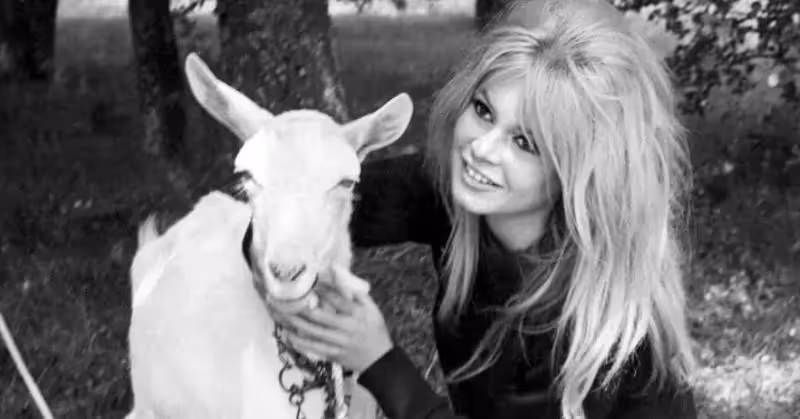 Fondation Brigitte Bardot