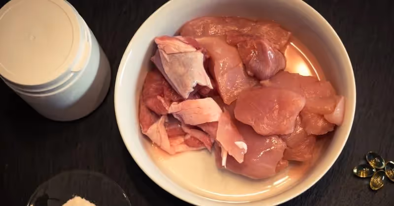 Régime BARF chez le chien