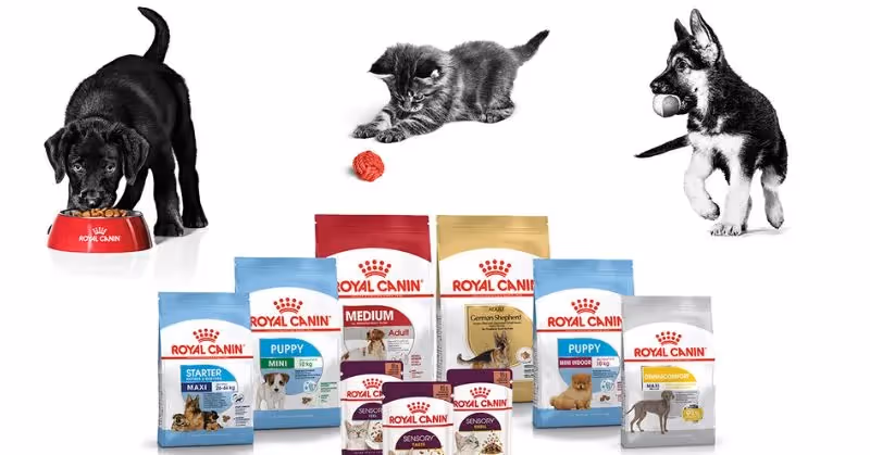 Croquettes pour chiot et pour chaton Royal Canin