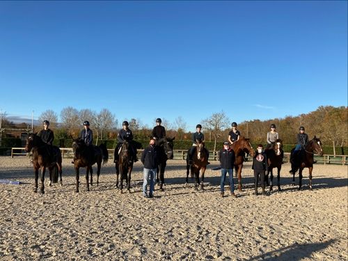 Cavaliers en sport étude