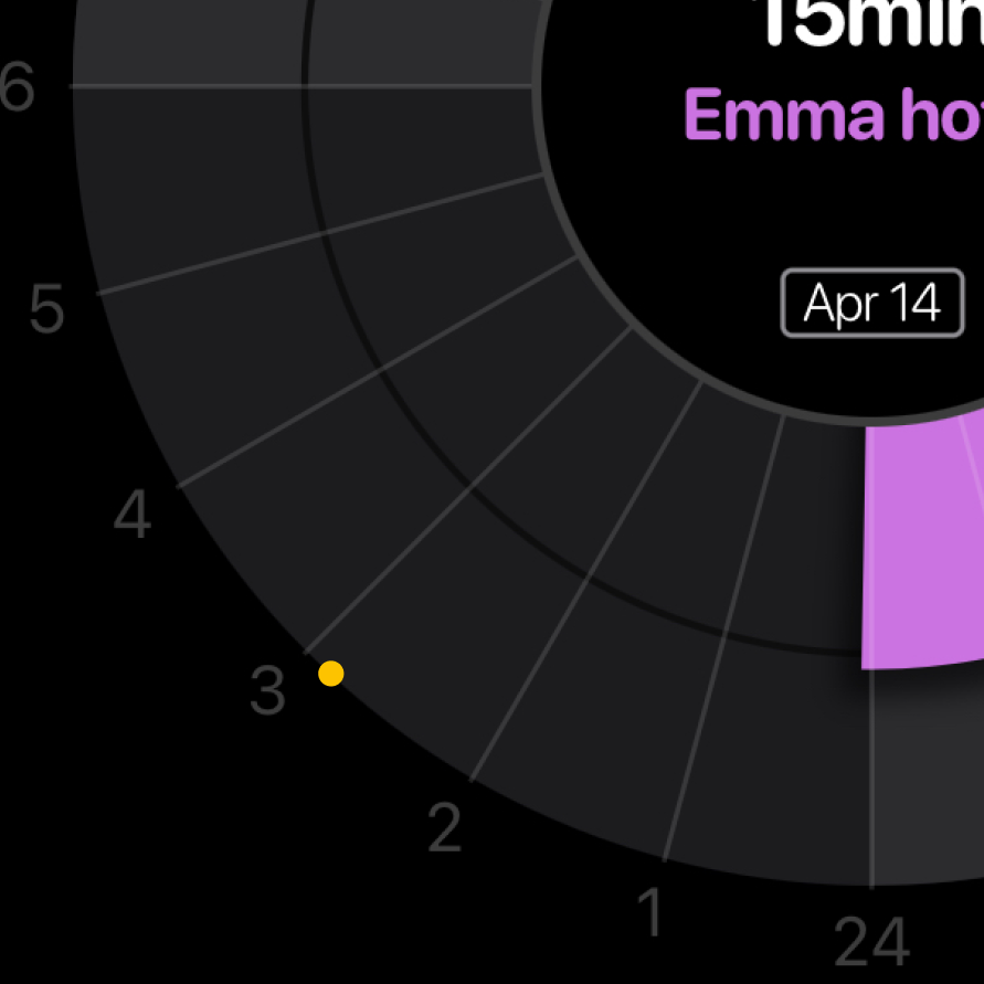 Timezone indicated around the edge of the day view of PiCal app using a colored dot