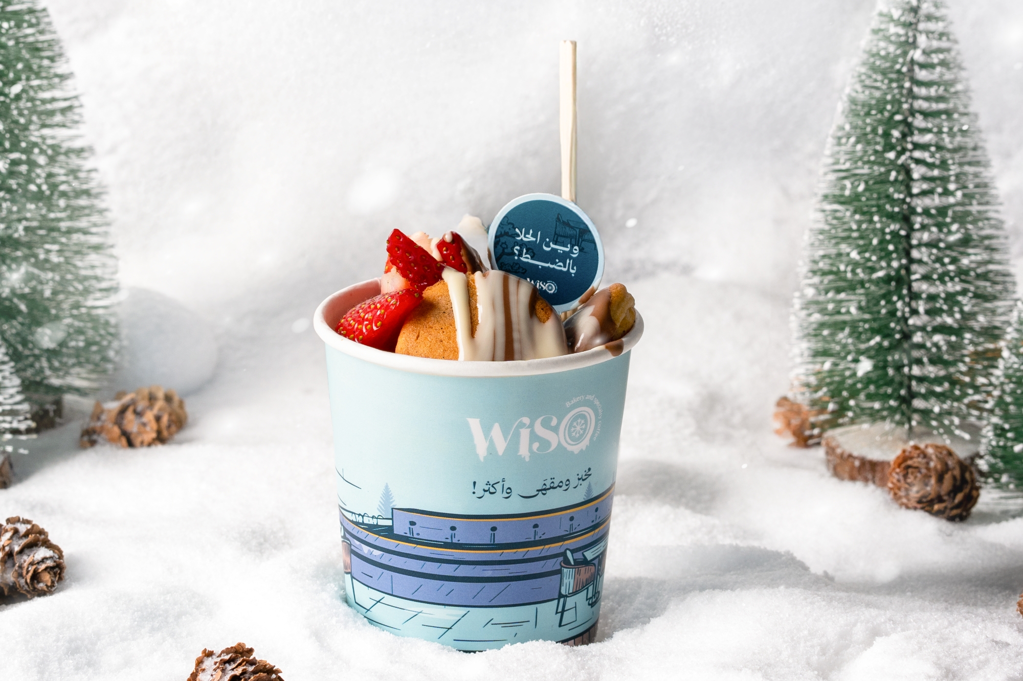 Wiso Winter Campaign