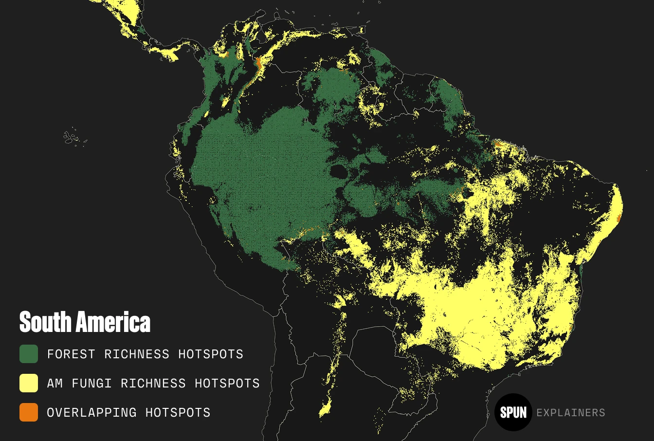 South America plant vs. fungal diversity