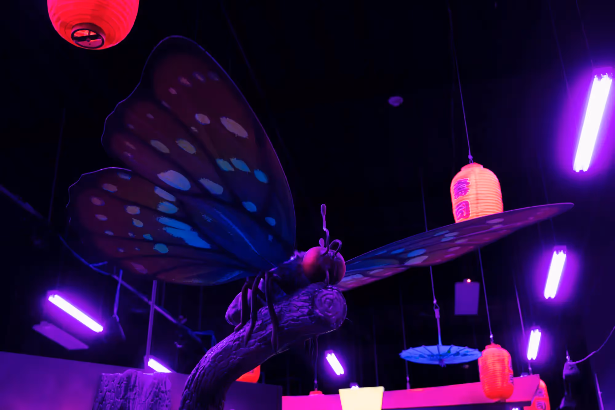 A purple butterfly with a blue wing is hanging from a branch.