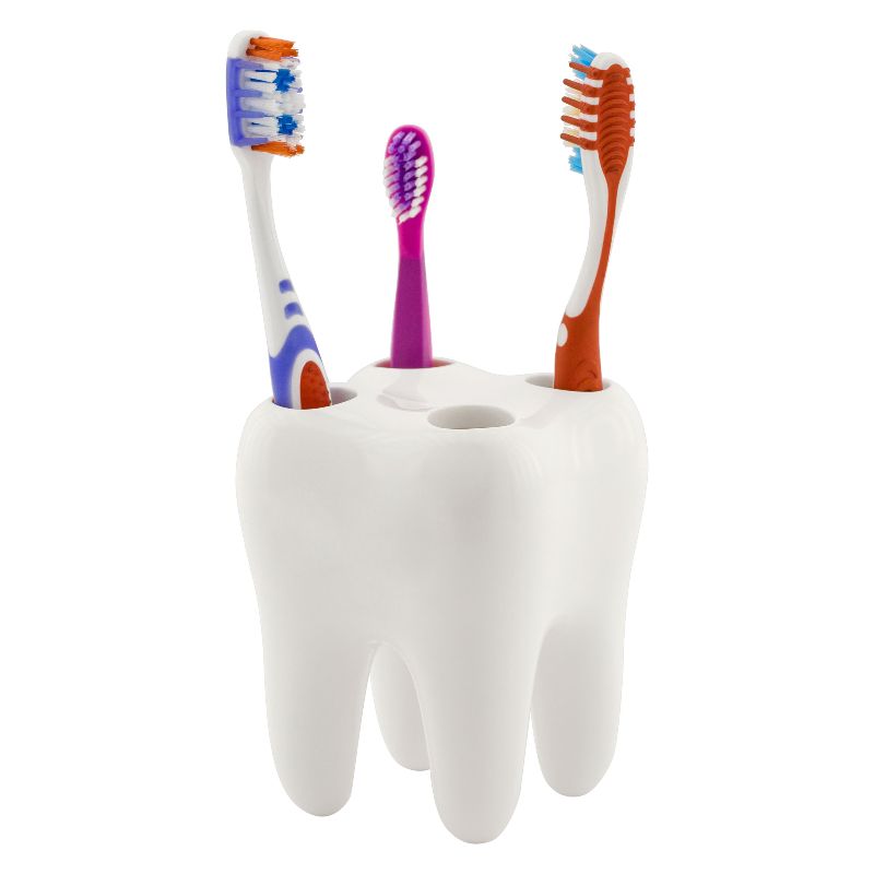 tooth and mirror tool