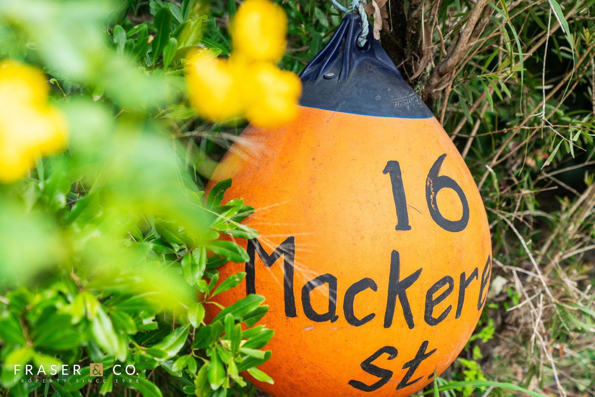 16 Mackerel Street, Noosa North Shore QLD 4565 — property photo 2