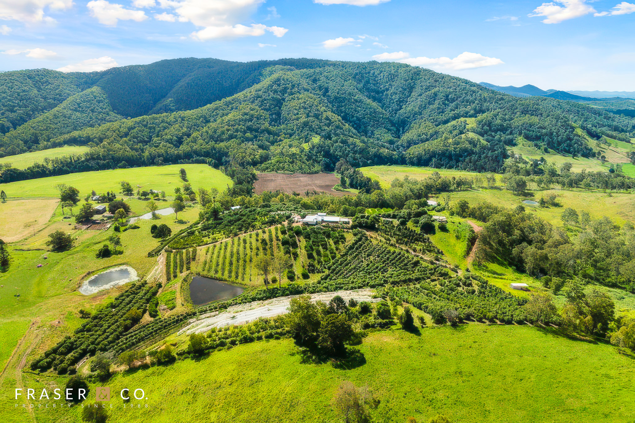 1207 Kandanga Creek Road, Upper Kandanga QLD 4570 — property photo 3