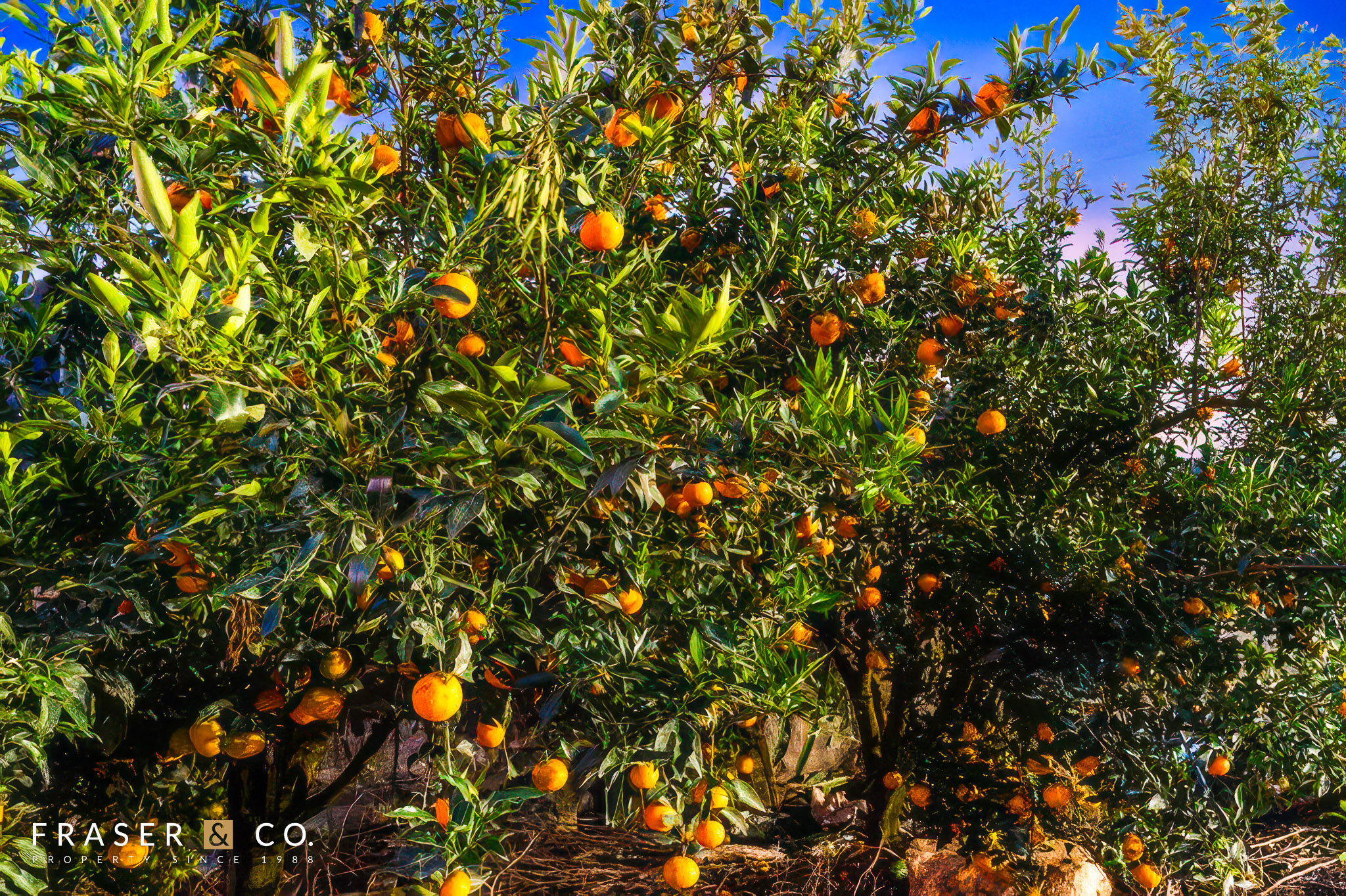 1207 Kandanga Creek Road, Upper Kandanga QLD 4570 — property photo 11
