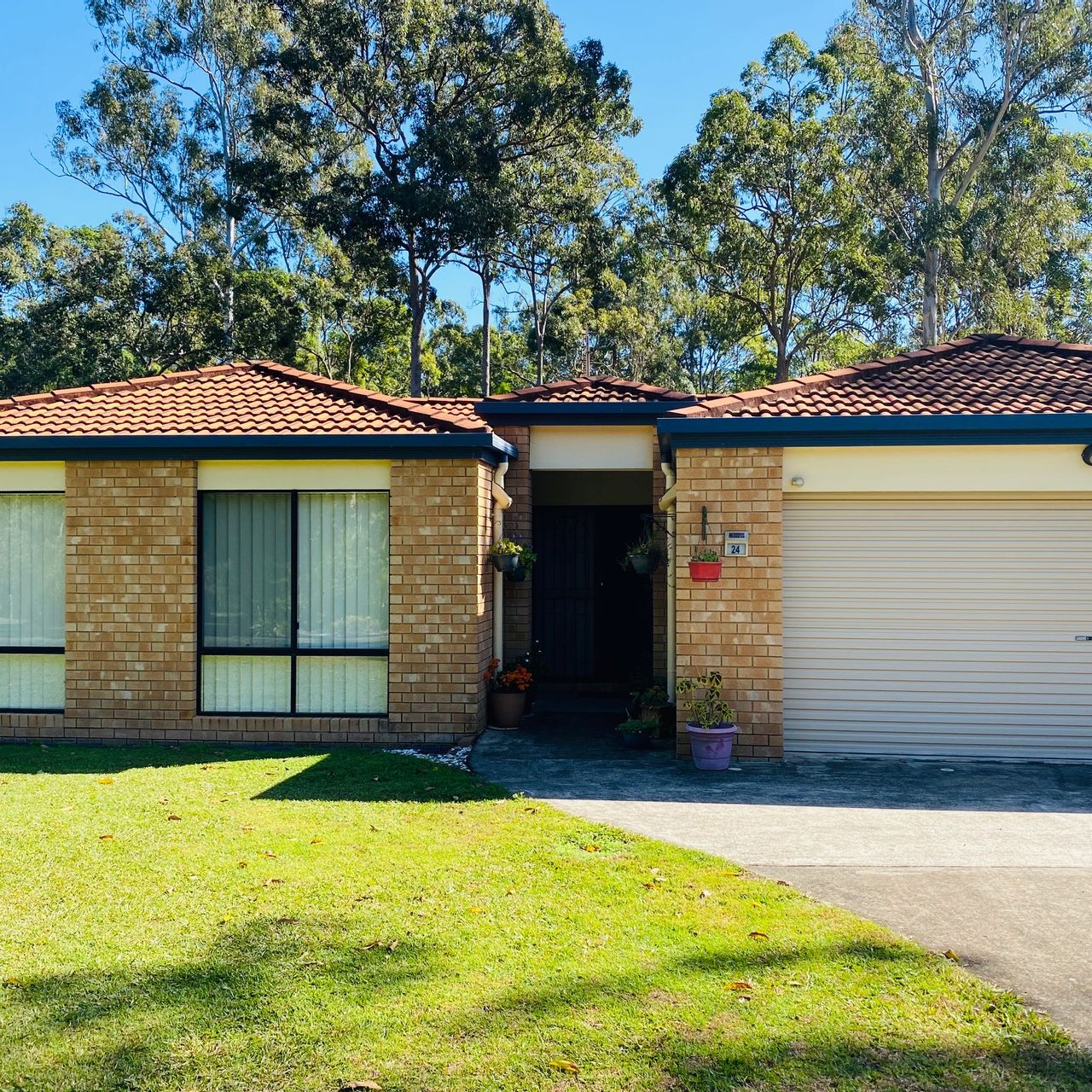 24 Sugargum Place, Black Mountain QLD 4563