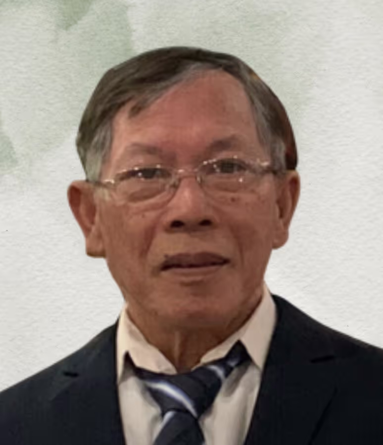 Thanh Vo