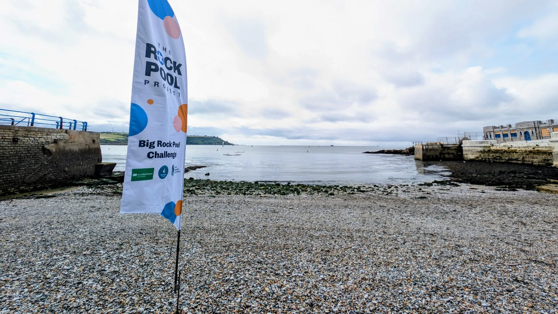 What do mobile app designers and seaweed have in common? 